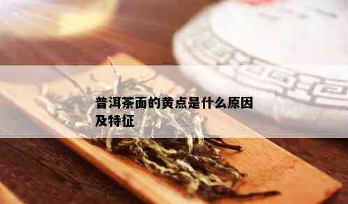 普洱茶面的黄点是什么原因及特征