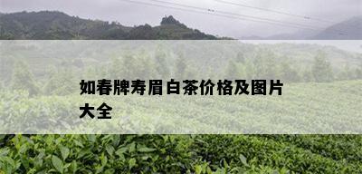 如春牌寿眉白茶价格及图片大全