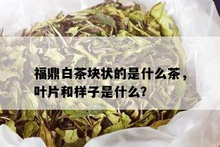 福鼎白茶块状的是什么茶，叶片和样子是什么？