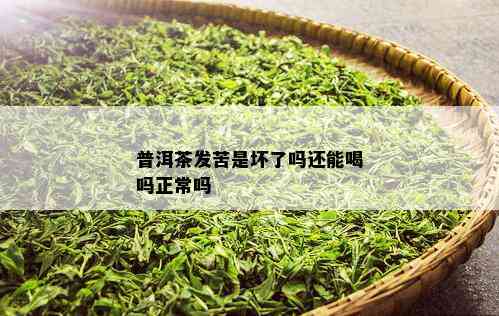 普洱茶发苦是坏了吗还能喝吗正常吗