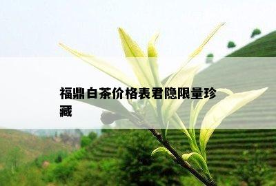 福鼎白茶价格表君隐 *** 珍藏