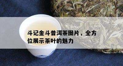 斗记金斗普洱茶图片，全方位展示茶叶的魅力