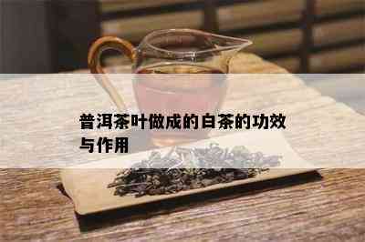 普洱茶叶做成的白茶的功效与作用