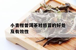 小青柑普洱茶对感冒的好处及有效性