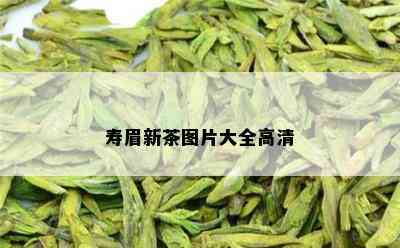 寿眉新茶图片大全高清