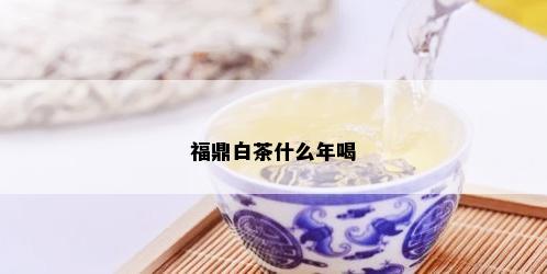 福鼎白茶什么年喝