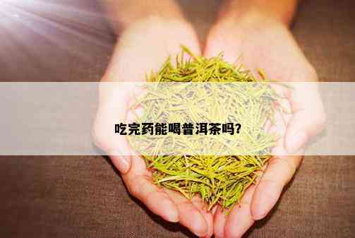 吃完药能喝普洱茶吗？