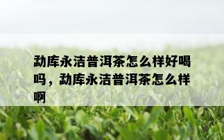 勐库永洁普洱茶怎么样好喝吗，勐库永洁普洱茶怎么样啊