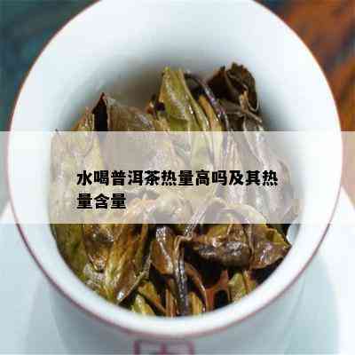 水喝普洱茶热量高吗及其热量含量