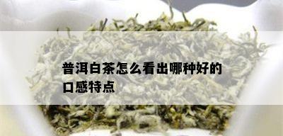 普洱白茶怎么看出哪种好的口感特点