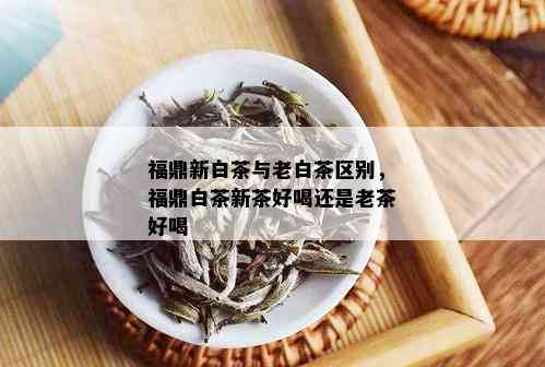 福鼎新白茶与老白茶区别，福鼎白茶新茶好喝还是老茶好喝