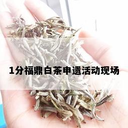 1分福鼎白茶申遗活动现场