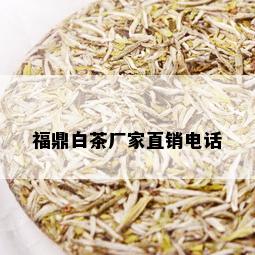 福鼎白茶厂家直销电话