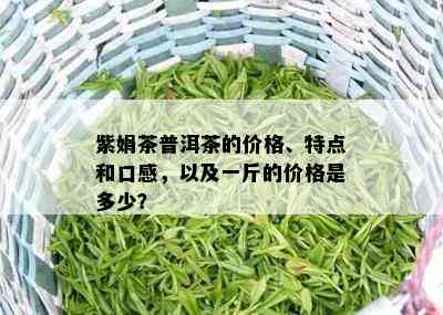 紫娟茶普洱茶的价格、特点和口感，以及一斤的价格是多少？