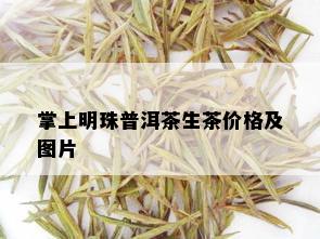 掌上明珠普洱茶生茶价格及图片