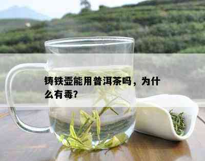 铸铁壶能用普洱茶吗，为什么有？