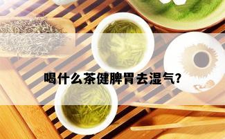 喝什么茶健脾胃去湿气？