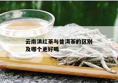 云南滇红茶与普洱茶的区别及哪个更好喝