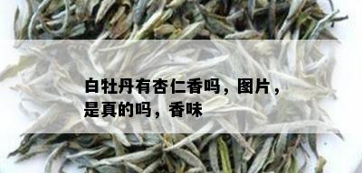 白牡丹有杏仁香吗，图片，是真的吗，香味