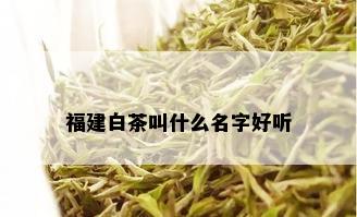 福建白茶叫什么名字好听