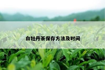 白牡丹茶保存方法及时间