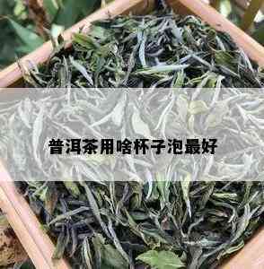 普洱茶用啥杯子泡更好