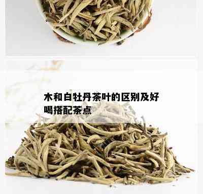 木和白牡丹茶叶的区别及好喝搭配茶点