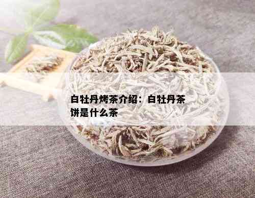 白牡丹烤茶介绍：白牡丹茶饼是什么茶