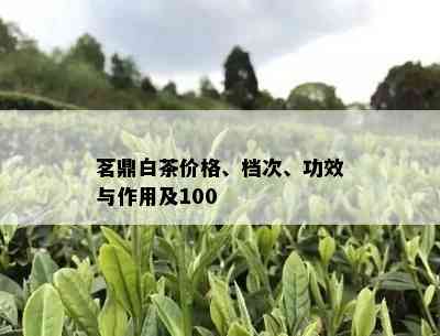 茗鼎白茶价格、档次、功效与作用及100