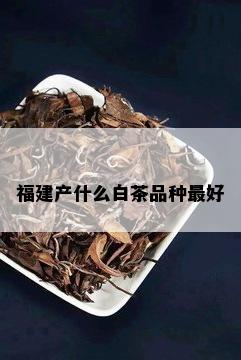 福建产什么白茶品种更好