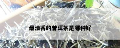 最清香的普洱茶是哪种好