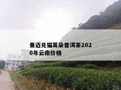 曼迈兑猫耳朵普洱茶2020年云南价格