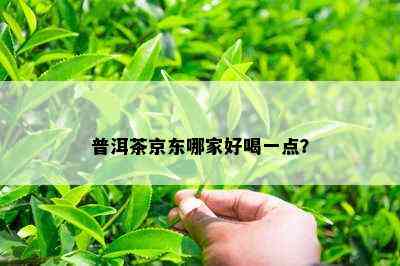 普洱茶京东哪家好喝一点？