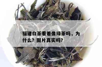 福建白茶看着像绿茶吗，为什么？图片真实吗？