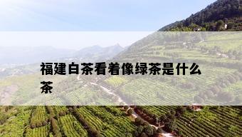 福建白茶看着像绿茶是什么茶