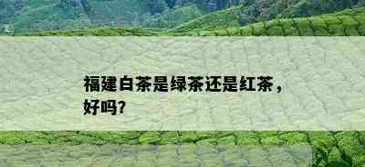 福建白茶是绿茶还是红茶，好吗？