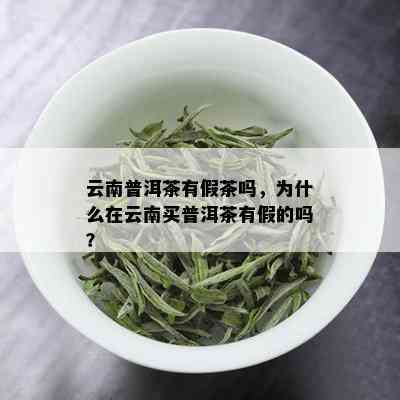 云南普洱茶有假茶吗，为什么在云南买普洱茶有假的吗？