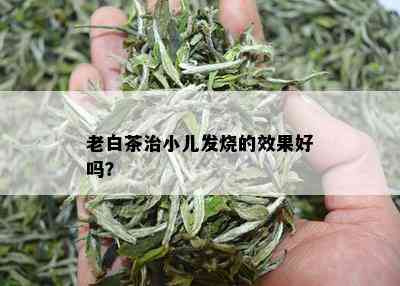 老白茶治小儿发烧的效果好吗？