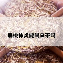 扁桃体炎能喝白茶吗