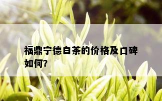 福鼎宁德白茶的价格及口碑如何？