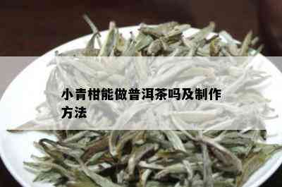 小青柑能做普洱茶吗及制作方法