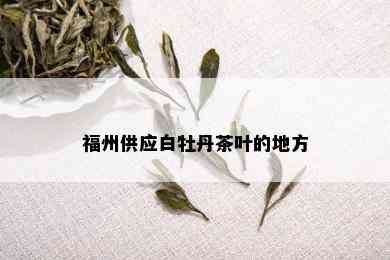 福州供应白牡丹茶叶的地方