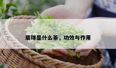 眉球是什么茶，功效与作用