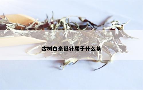 古树白毫银针属于什么茶