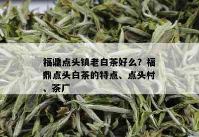 福鼎点头镇老白茶好么？福鼎点头白茶的特点、点头村、茶厂