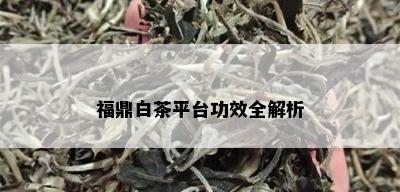 福鼎白茶平台功效全解析