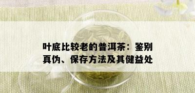 叶底比较老的普洱茶：鉴别真伪、保存方法及其健益处