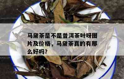 马黛茶是不是普洱茶叶呀图片及价格，马黛茶真的有那么好吗？