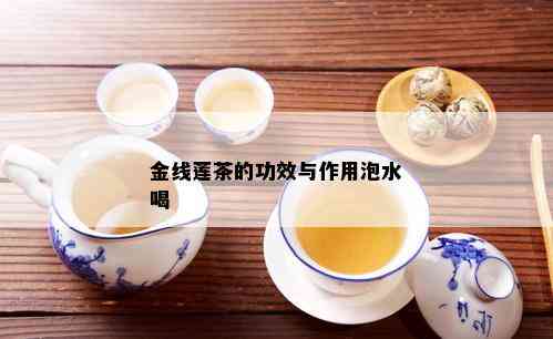 金线莲茶的功效与作用泡水喝