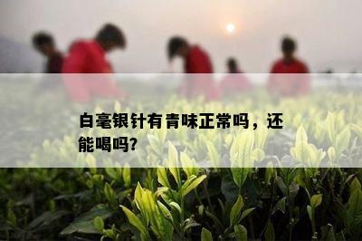 白毫银针有青味正常吗，还能喝吗？